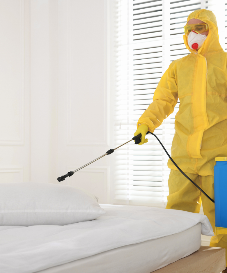 Professional Pest Control Team in Hyde Park